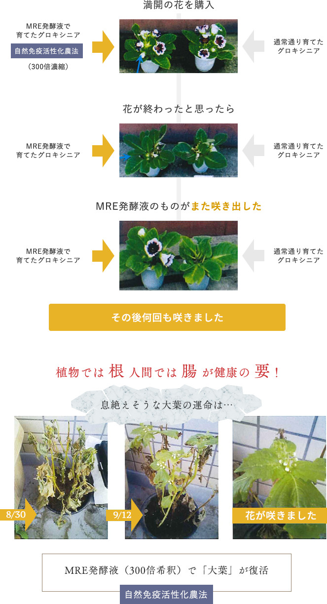 輝源 輝源